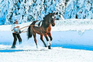 ski-joering-cheval-300x201